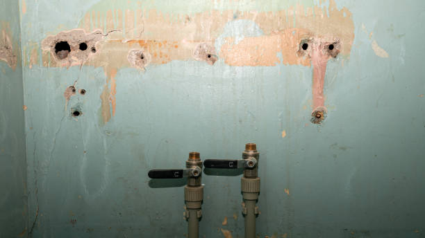 Best Water damage restoration company  in Kenton, OH