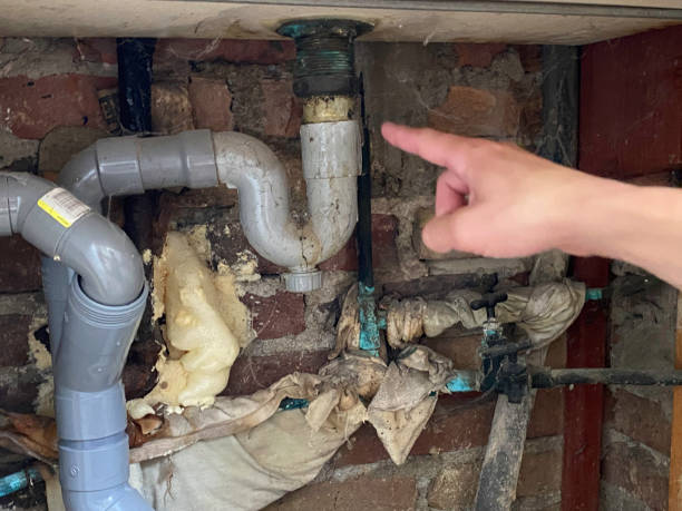 Best Ceiling water damage repair  in Kenton, OH