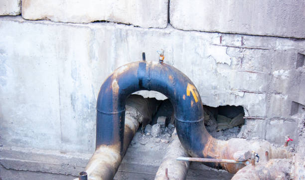 Best Basement water damage restoration  in Kenton, OH