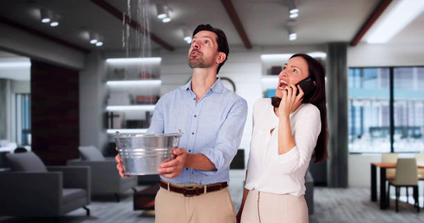 Best Water damage cleanup near me  in Kenton, OH
